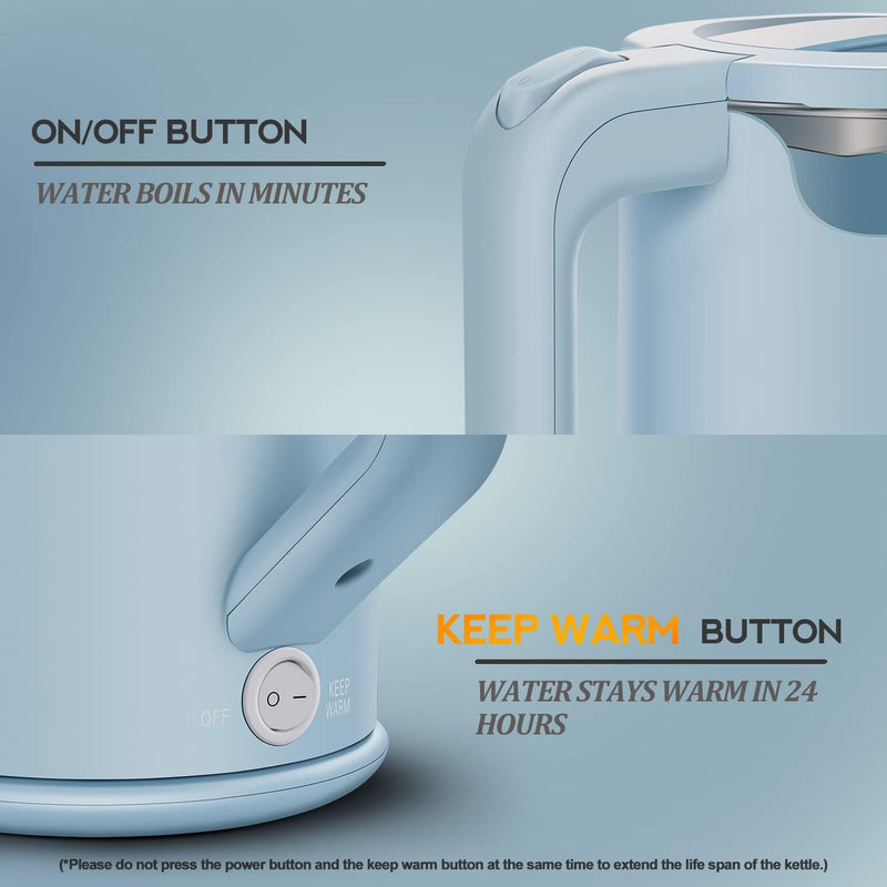 Dezin Electric Kettle with Keep Warm